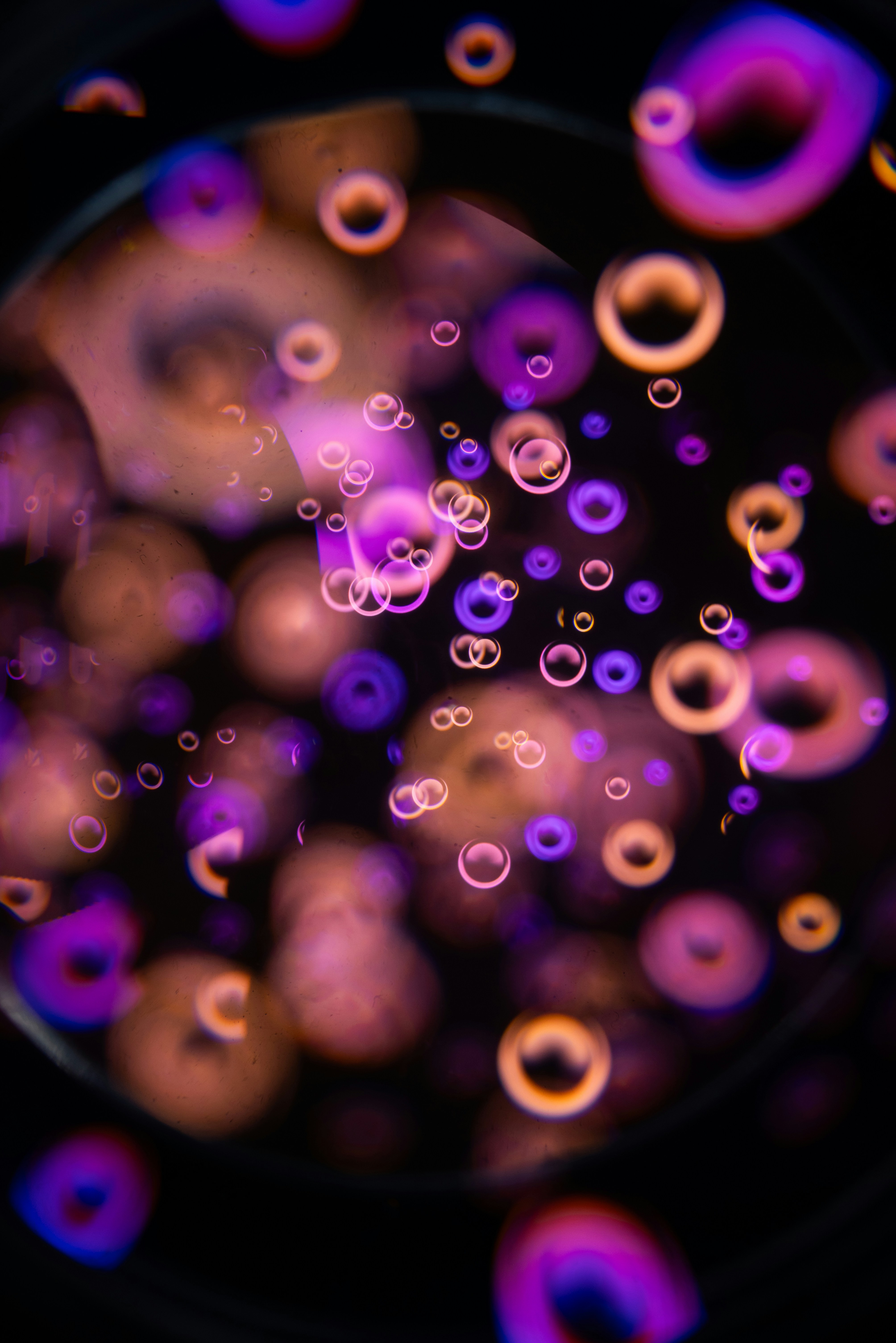 Laboratory Chemicals